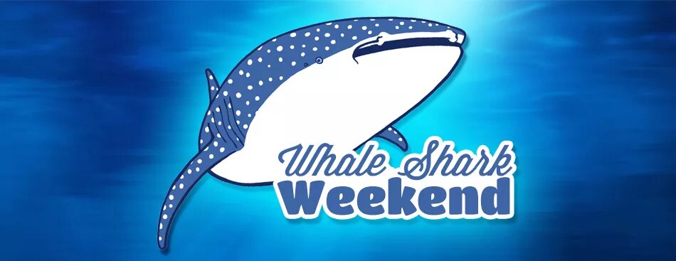 Jenny weekend. Китовая акула из мультфильма. Китовая акула рамка. World Aquarium Day символ.