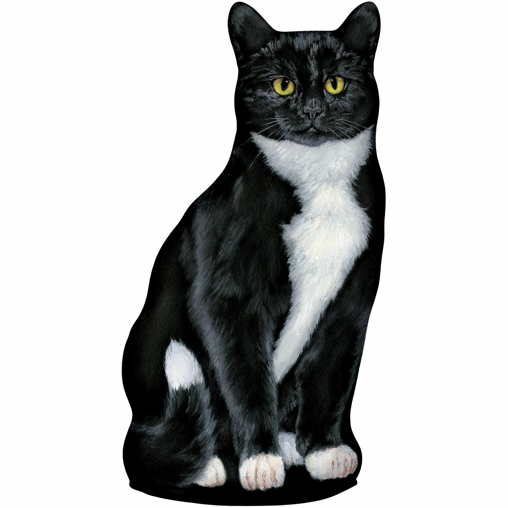 Tuxedo cat