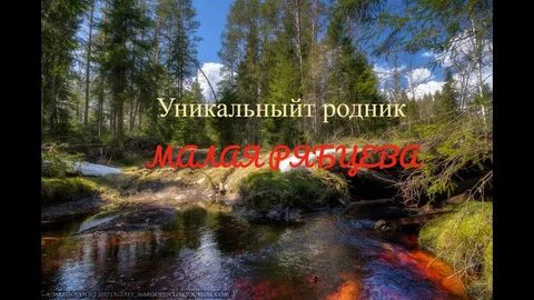 Бормотали под корнями ручьи в овраге