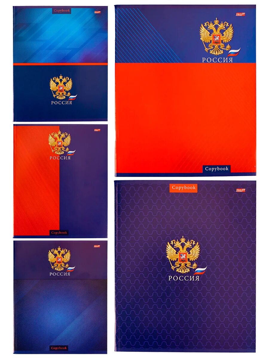 Клетка 403031 "brauberg". Девочки", 10 дизайнов, эконом. Тетрадь а5 48 листов. Тетрадь с российской символикой. Тетрадь 48 листов в клетку однотонная.