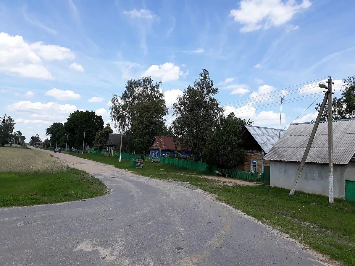 Прудок (светлогорский район). Деревня языково. Берёзовка (борисовский район, минская область). Языков деревня. Языков деревня.
