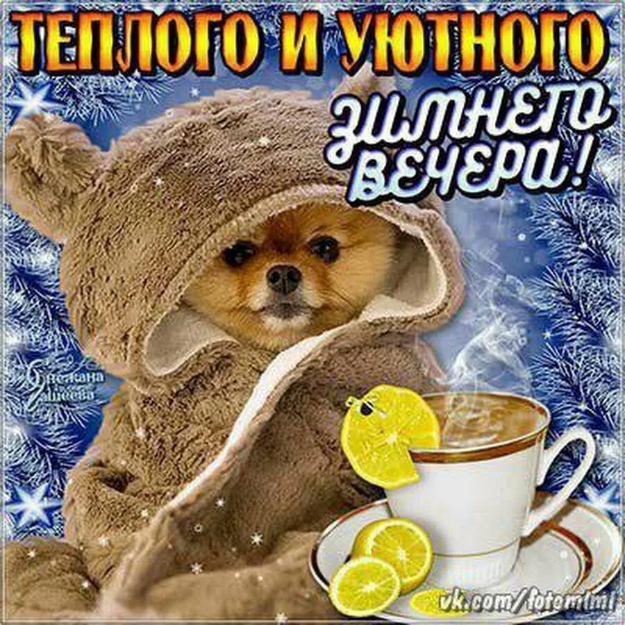 Добрый вечер зима картинки позитивные. Доброго зимнего вечера. приятного зимнего вечера и отличного настроения. пожелания доброго зимнего вечера. доброго декабрьского вечера и хорошего настроения.
