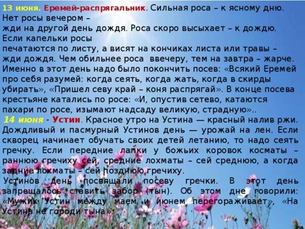 13 Июня народный календарь. Народные приметы на 13 июня. Почему выпала роса