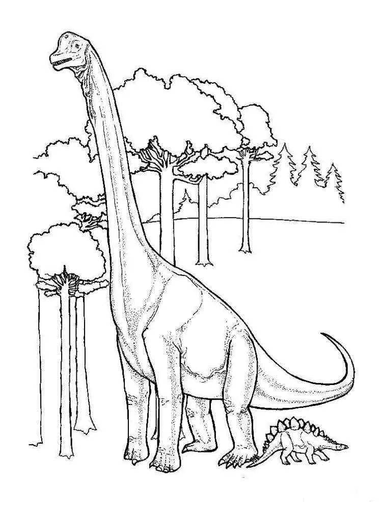 Динозавры раскраска а4. Раскраска динозавр Бронтозавр. Бронтозавр парк Юрского периода. Раскраска динозавр Брахиозавр. Брахиозавр динозавр рисунок.