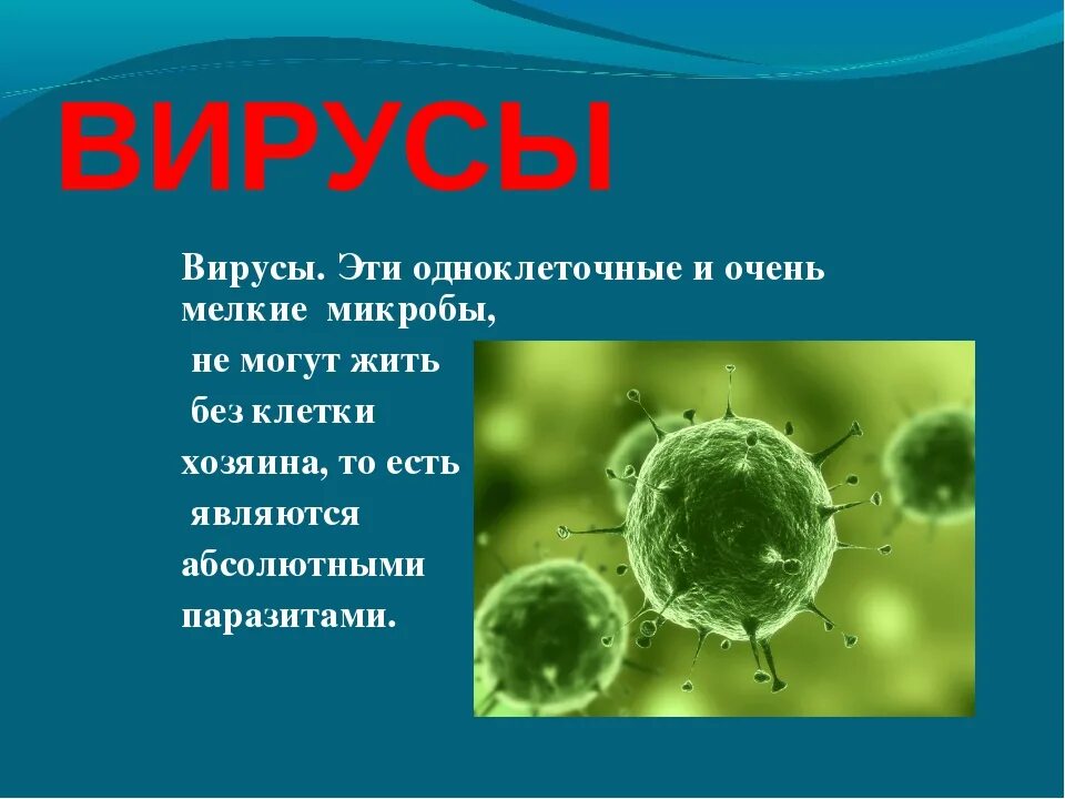 Одноклеточные вирусы. Вирусы это одноклеточные организмы. Вирусы одноклеточные или многоклеточные организмы. Вирусы это многоклеточные организмы.
