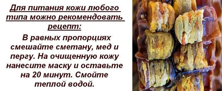 Сколько можно есть перги в день. Польза перги для человека в чем заключается. продукты на основе перги. экстракт перги. перга при простуде.