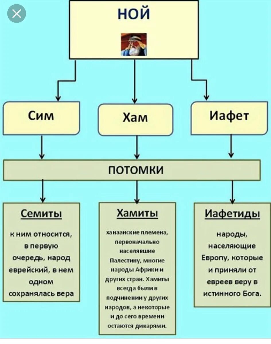 Невежливый сын ноя. Потомки Иафета сына ноя родословная. Иафет сын ноя. Родословная сим хам Иафет. Ной сим хам Иафет дети.