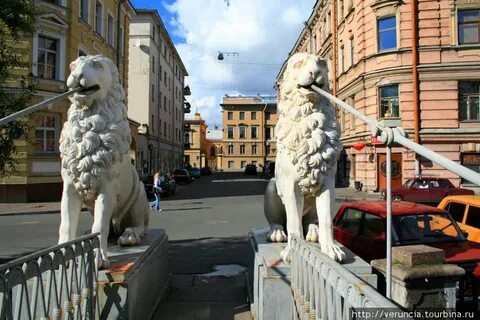Белый лев санкт петербург