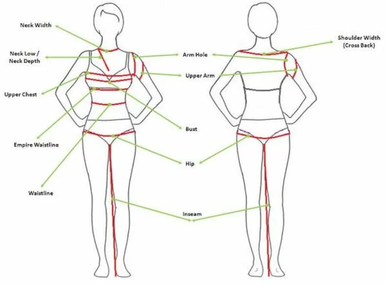 Height 0 width 0 style. Shoulder width. upper arm как измерить. leg width в одежде. shoulder width перевод.