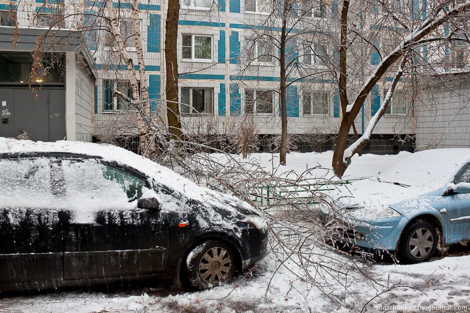 Ледяной дождь декабрь 2010 москва. Ледяной дождь в монреале. Ледяной дождь в москве 2010. Ледяной дождь 2010 года. Ледяной дождь в москве 2010.