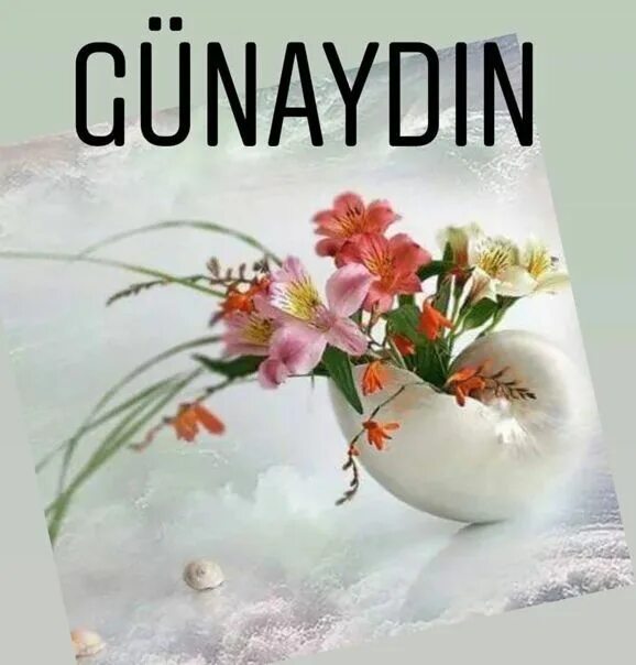 Открытки gunaydin. Günaydın с турецкого на русский. Gunaydin меню. Гюнайдын. Günaydın с турецкого на русский.