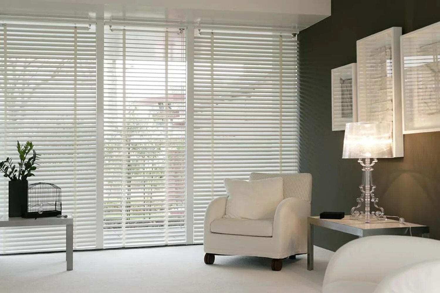 Плиссе Hunter Douglas. Hunter Douglas жалюзи плиссе. Жалюзи вельвет 201368 Simplex. Жалюзи Магеллан 50160 белый. Шторы жалюзи жалюзи спб рф