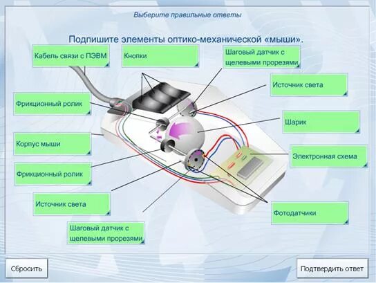 Обозначения элементов электрической цепи. 5 элемент схема планет. Подпишите элементы схемы планета земля в солнечной системе. Строение половых клеток млекопитающих. Таблица обозначений электрической цепи.