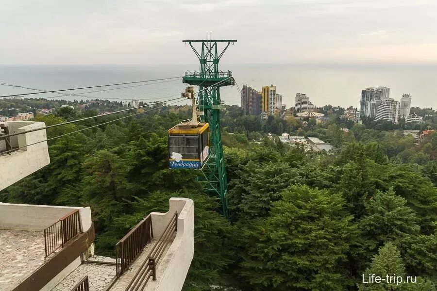 Канатная дорога в Дендрарии снова открыта Краснодарские известия
