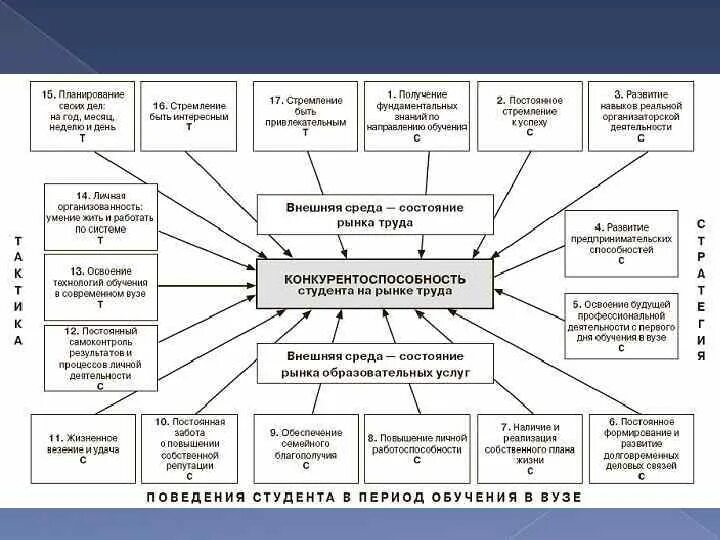 Организации учебной работы студента. Схема модели конкурентоспособности специалиста. Конкурентоспособность на рынке труда. Конкурентоспособность студента. Конкурентоспособность студента на рынке труда.