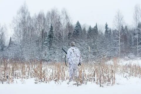 Охотясь зимой