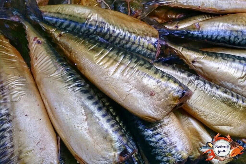 рыбный магазин в мурманске на кольском 78 мурманск. рыбный магазин на кольском 78 мурманск. кольский проспект 78 рыбный магазин. рыбный магазин на кольском 78 мурманск. магазин рыбный дом на кольском 78.