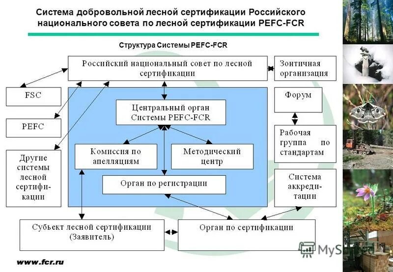 Схема проведения сертификации. Структура системы добровольной сертификации. Блок-схема порядка добровольной сертификации. Структура системы добровольной сертификации. Структура системы добровольной сертификации.
