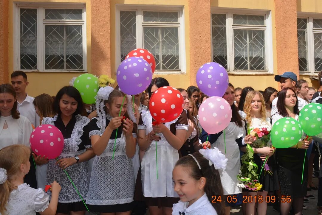 Кировская гимназия 2