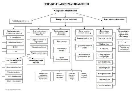 Анализ организационной структуры