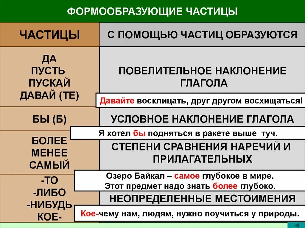 Частицы в русском языке 5 класс. Формообразующие частицычастиц. Форомо образующие частицы. Формообраззные частицы. Форма образуючие частицы.