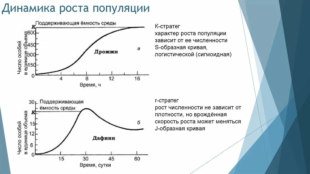 Рост популяции зависит от плотности. Непрерывный рост популяции график. Модель экспоненциального роста популяции. J-образная модель роста популяции. Типы роста популяций.