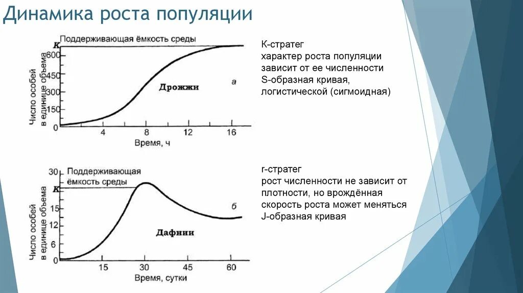 Непрерывный рост популяции график. S образная кривая роста популяции. Модель экспоненциального роста популяции. J-образная модель роста популяции. Изменение численности особей популяции называют