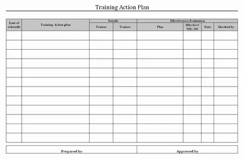 Training plan