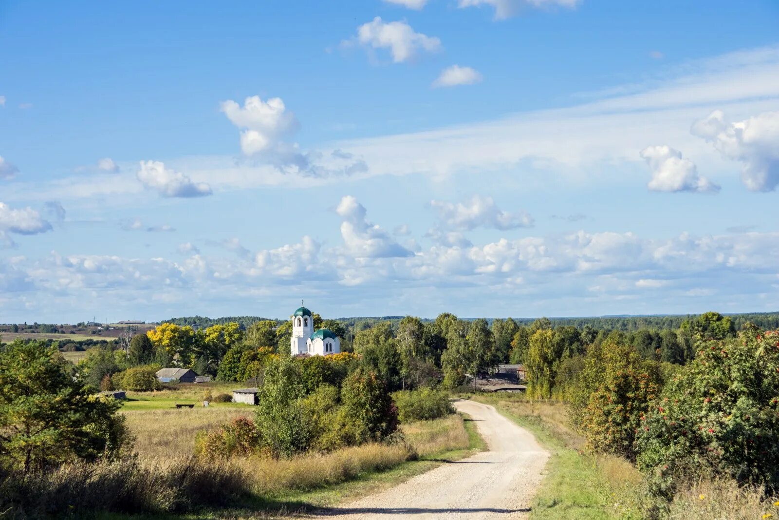 Село вк. Завертная Советский район Кировской области. Остров Иконниково Алтайский. Иконниково Алтайский край Бийск. Церковь в Иконниково Алтайский край.