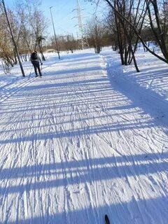 Состояние лыжных трасс сегодня