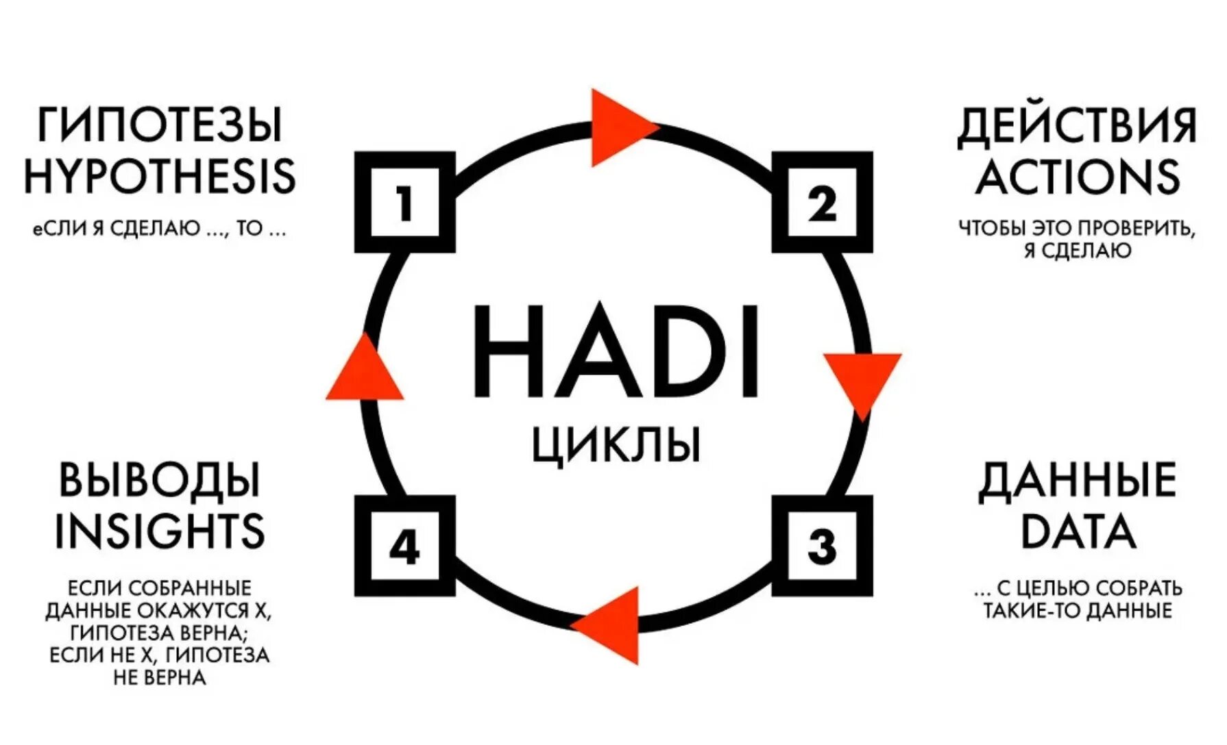 Hadi циклы в маркетинге. Гипотеза цикл Хади. Тестирование гипотез в маркетинге. Тестирование гипотез в бизнесе. Маркетинговая гипотеза