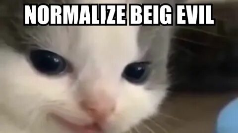 Невдупленыш мем