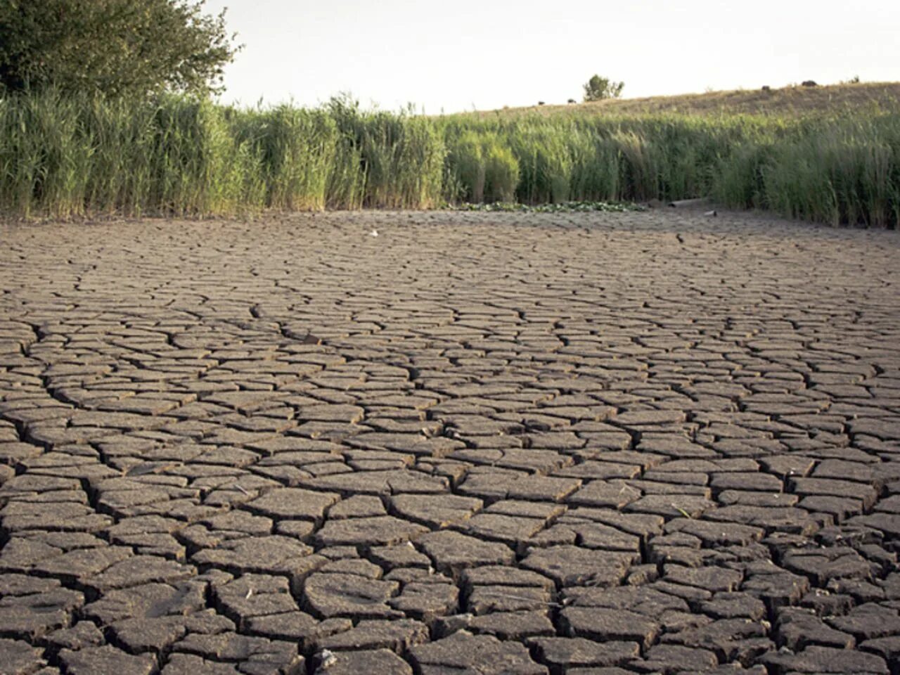 Нил засуха. Сухая земля потресканная. Антропогенное опустынивание. Пустынные почвы. Пустыня трещины.