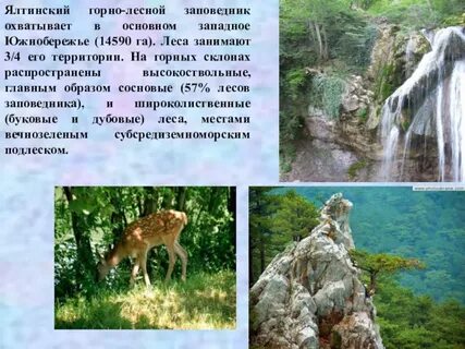Пропуск в ялтинский заповедник