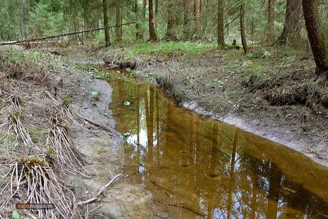 Медленная река