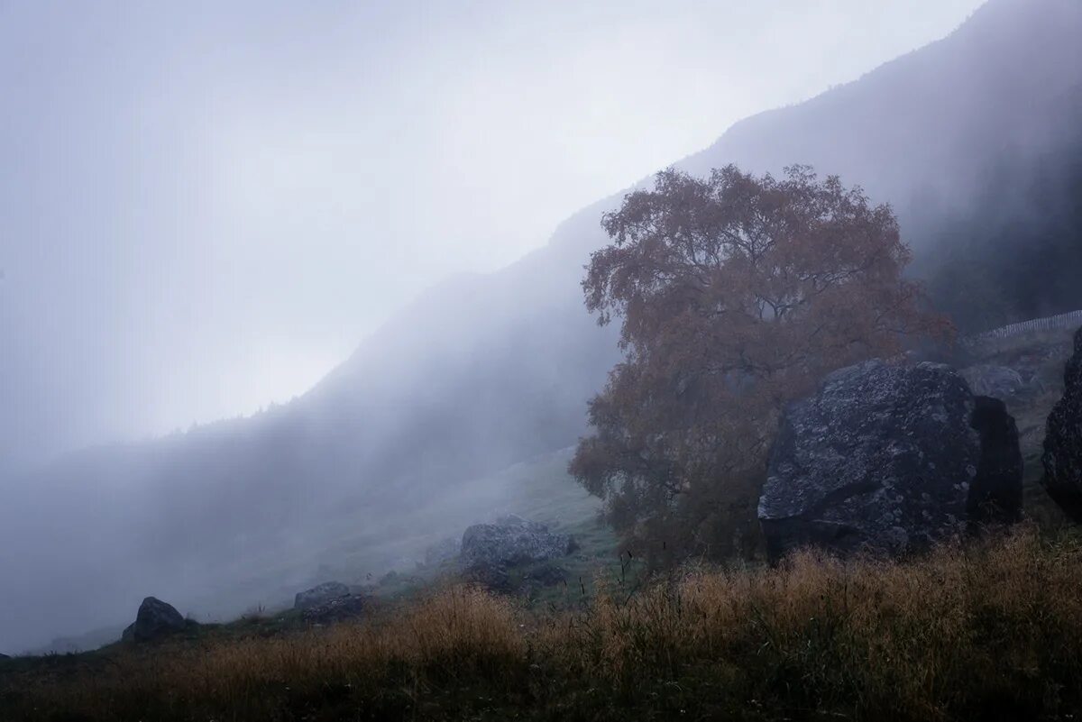Туман. Туманный лес. Тлен туман. Fog clear. Туманный фон.