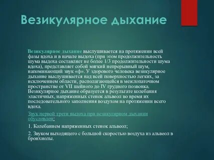 Везикулярных хрипов