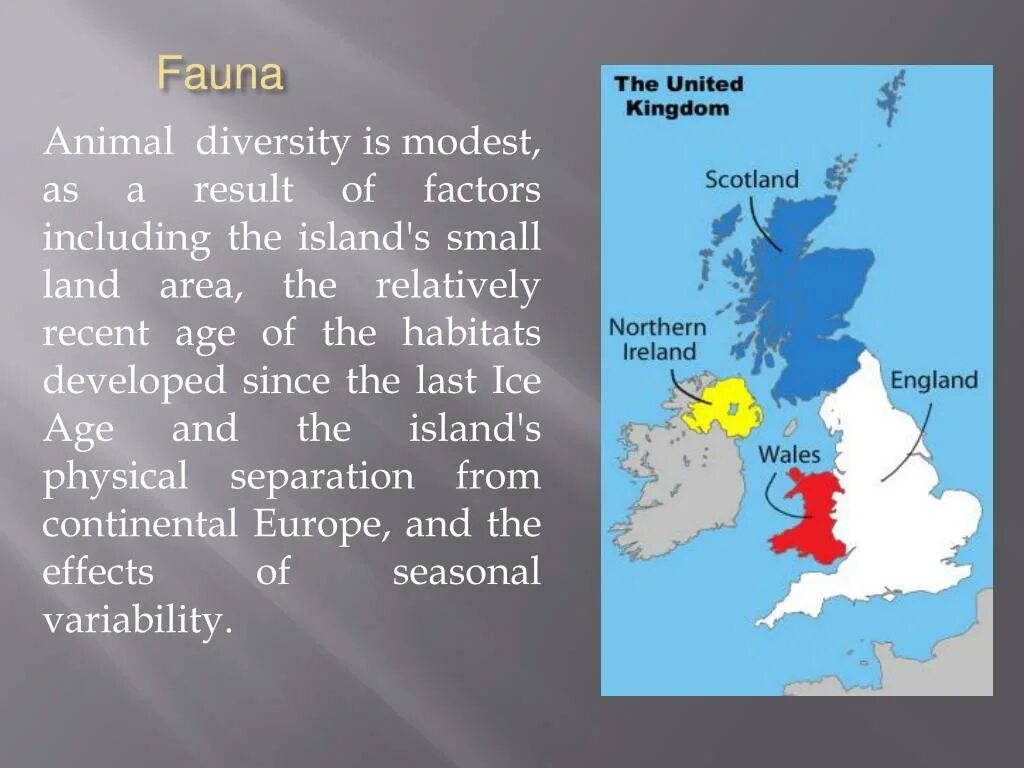 Фауна Великобритании на английском. Flora and fauna of great Britain. Flora and fauna of great Britain презентация. Climate of great britain