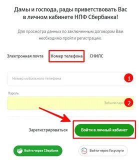 Номер снилс сбербанк