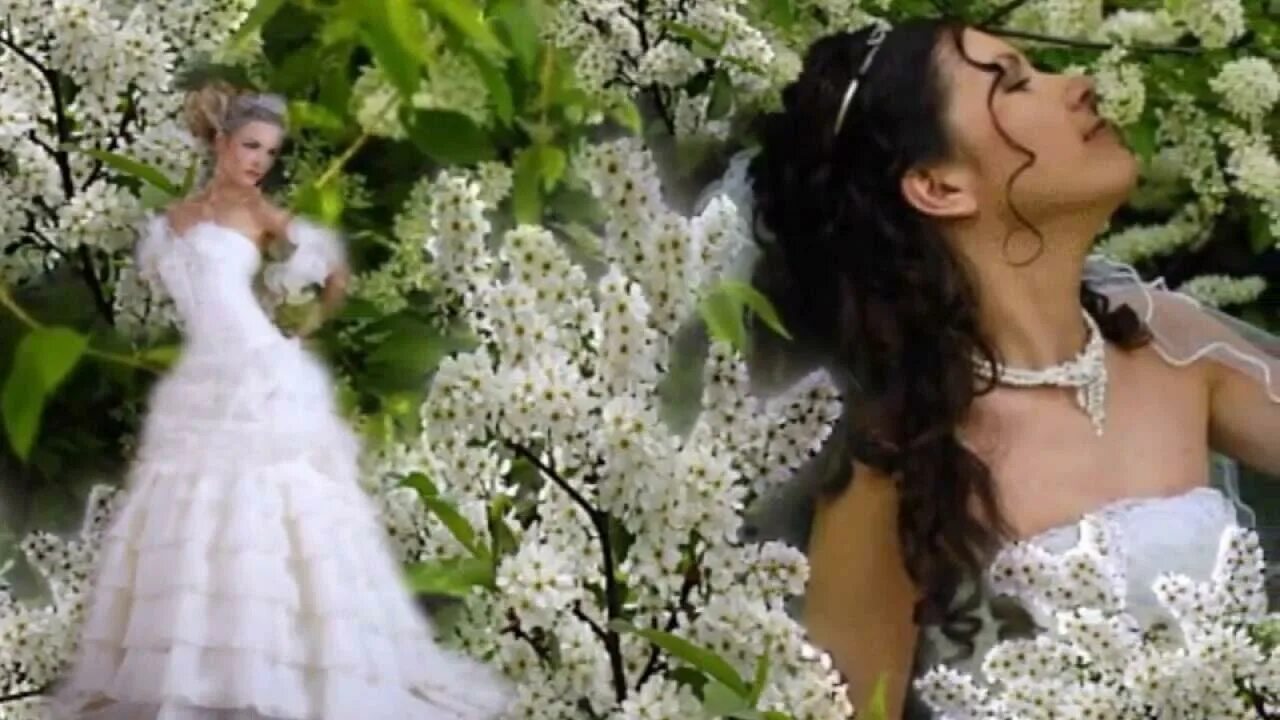 Зачем тебе такой красивый кто поет. Платье невесты в саду. Фотосессия с черемухой в белом платье. Черемуха невеста. Девушка с букетом черемухи.