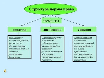 Назовите элементы правовых норм