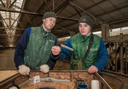 Нерал уфа. Группа компаний нерал. Группа компаний нерал. Зао агрофирма патруши. Нерал буздяк.