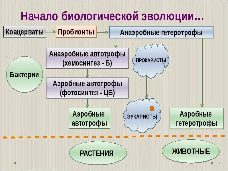 Образование биополимеров последовательность. Образование и эволюция биологических мембран. теория биологической эволюции. возникновение жизни. пробионты.