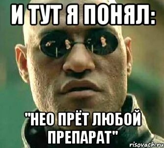 Любы тут