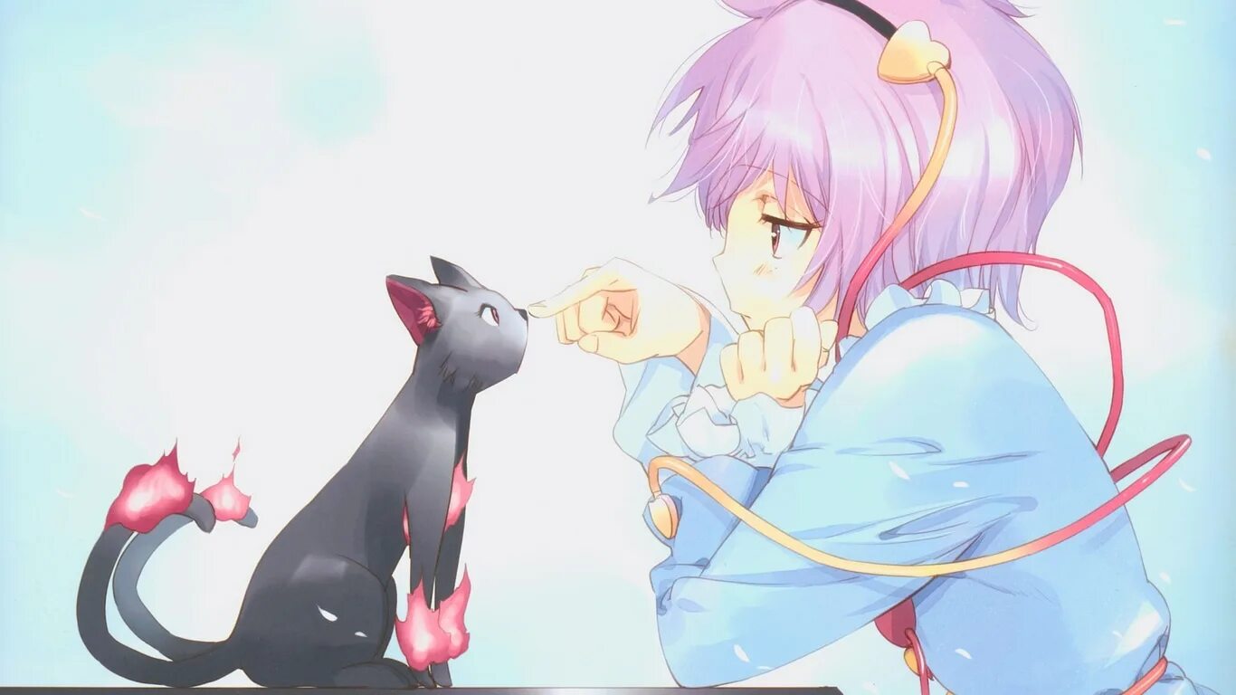 Neko pet