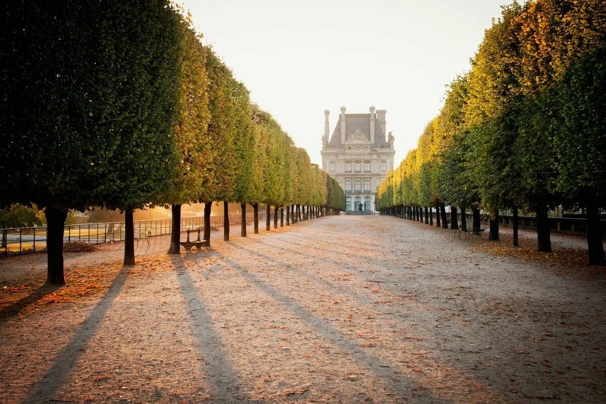 Название аллей. Димитровград набережная. Название аллей. Усадьба остафьево липовая аллея. Самшит топиарный.