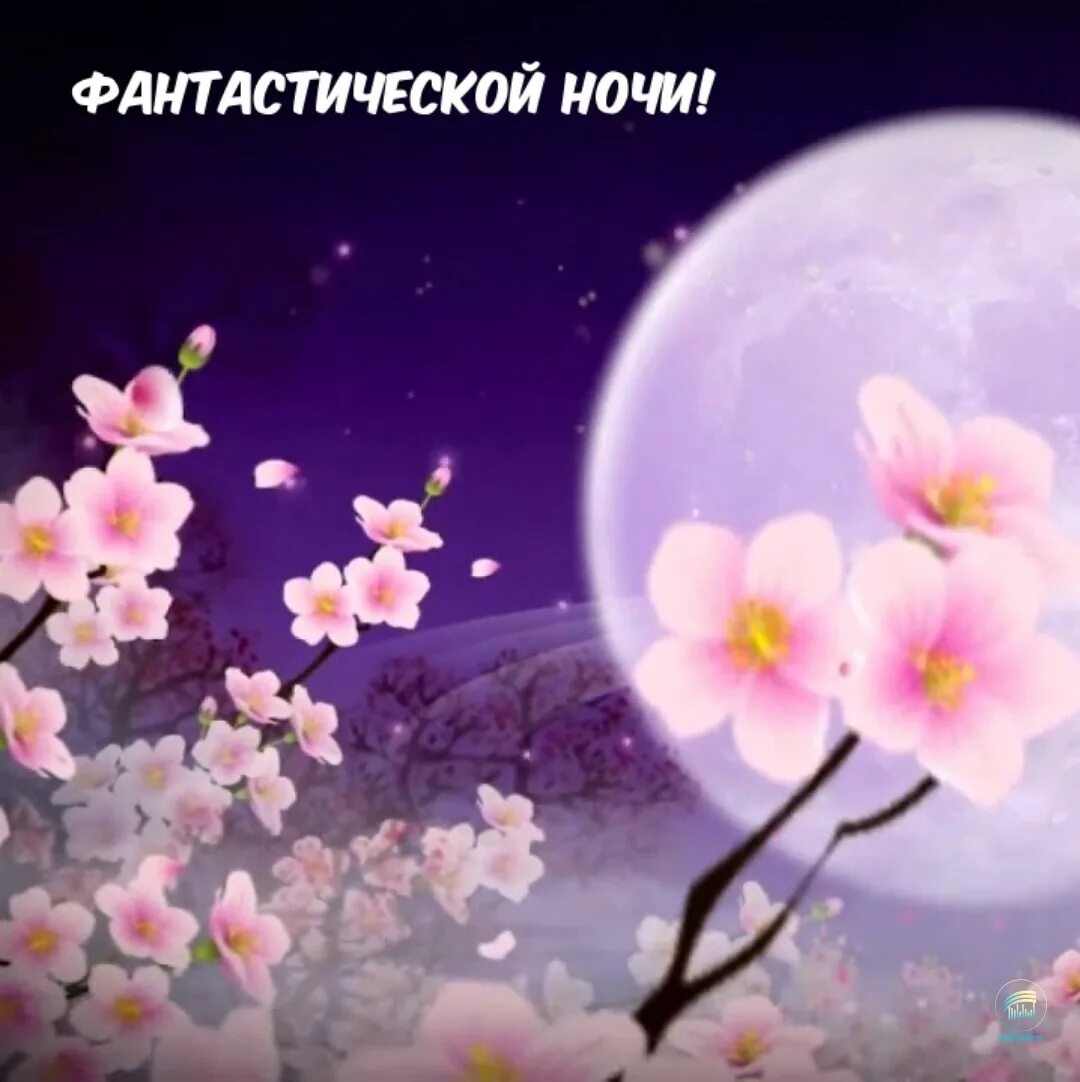 Мартовская ночь. Чудесный мартовские ночи. Доброй мартовской ночи. Доброй мартовской ночи красивые. Спокойной ночи весенней ночи.