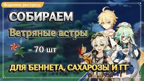 Ветреные астры геншин импакт