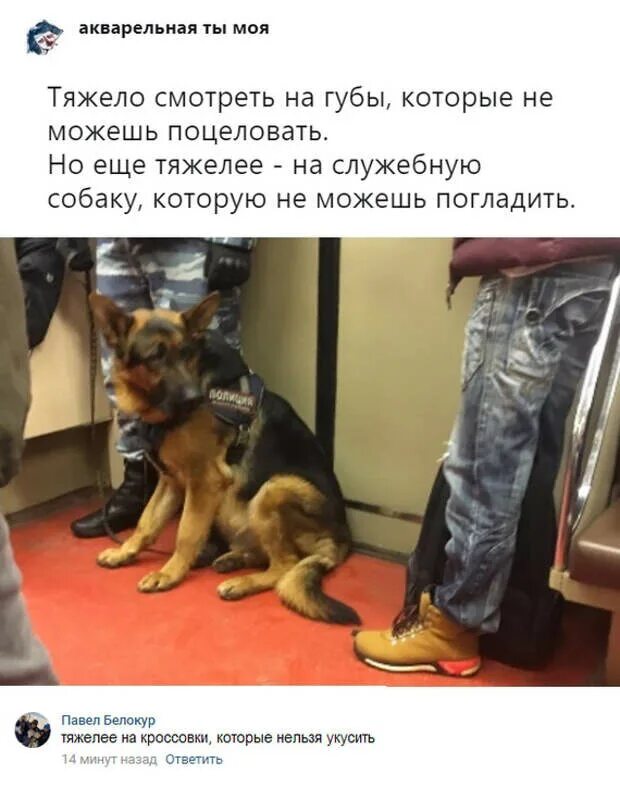 Губы которые не можешь поцеловать