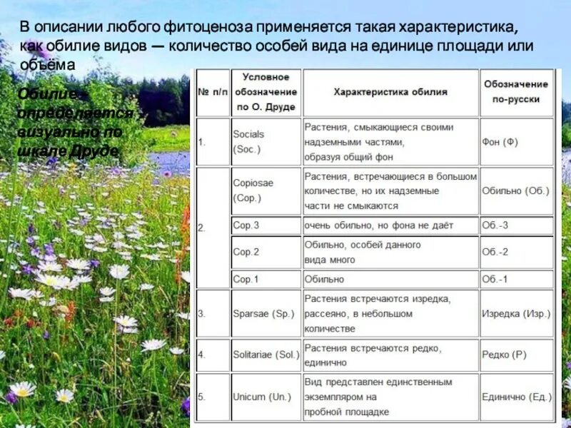 Охарактеризовать растительное сообщество. Растительное сообщество растений. Растительные сообщества таблица. Типы фитоценозов таблица. Характеристика любого фитоценоза.